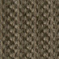 Pumpernickel Crypton Fabric - Golden